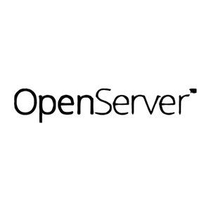 OpenServer 恢復